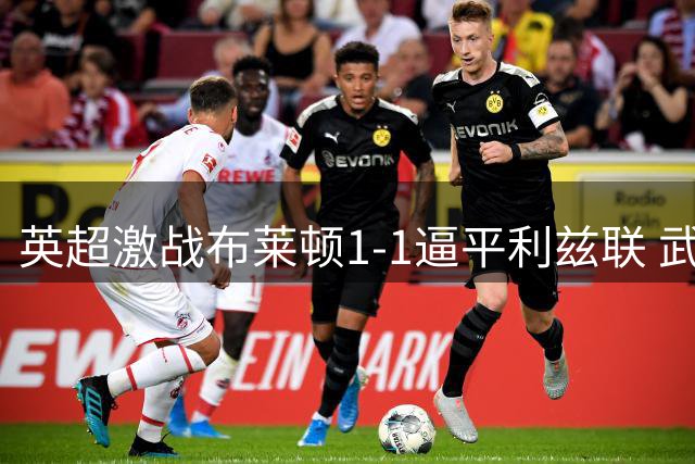 英超激战布莱顿1-1逼平利兹联 武什科维奇头槌建功救主